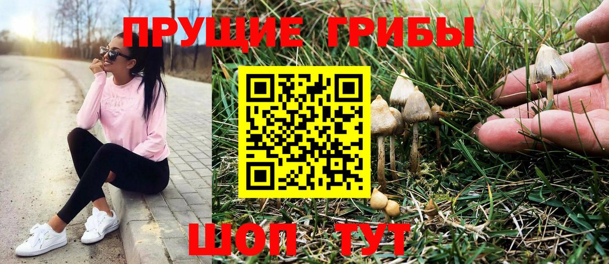 Галлюциногенные грибы мицелий  Вход с VPN  Магнитогорск  Галлюциногенные грибы мицелий 